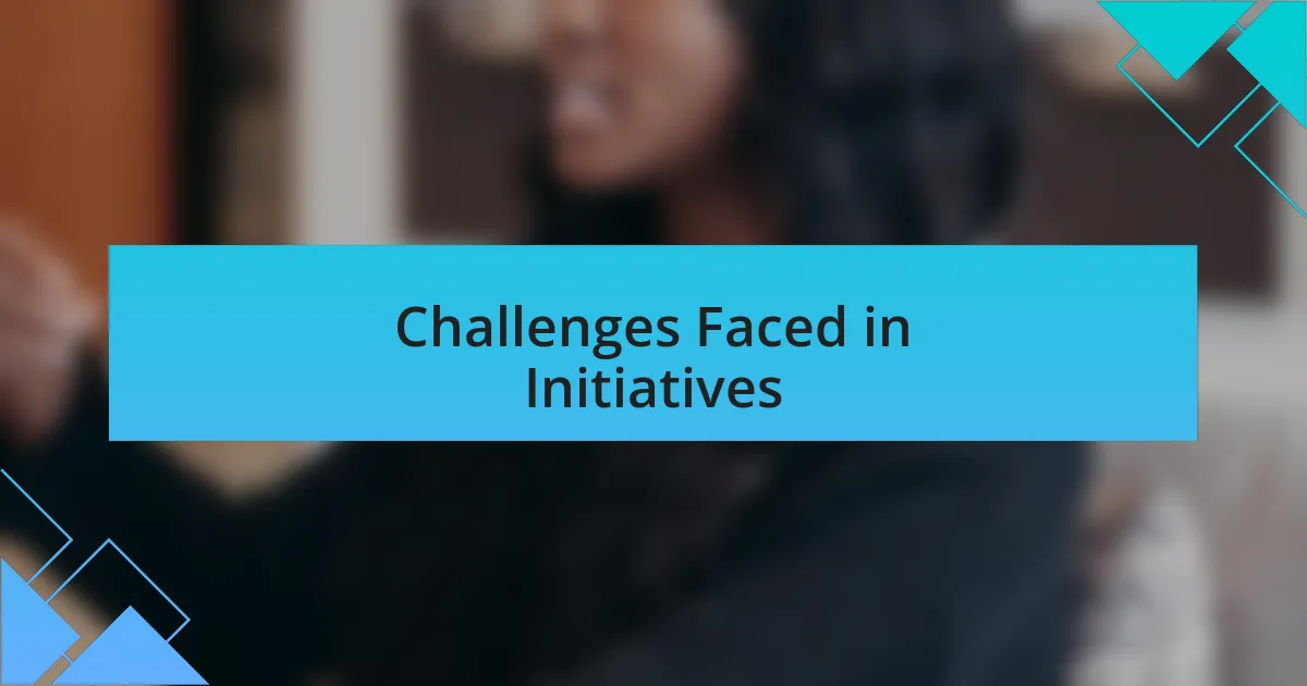 Challenges Faced in Initiatives