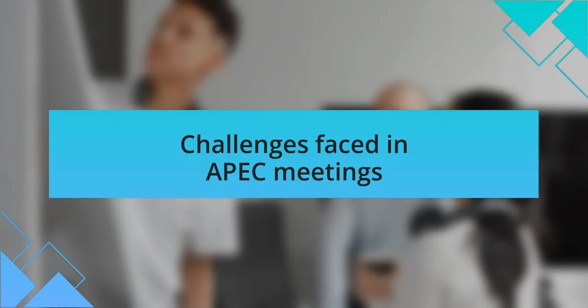 Challenges faced in APEC meetings