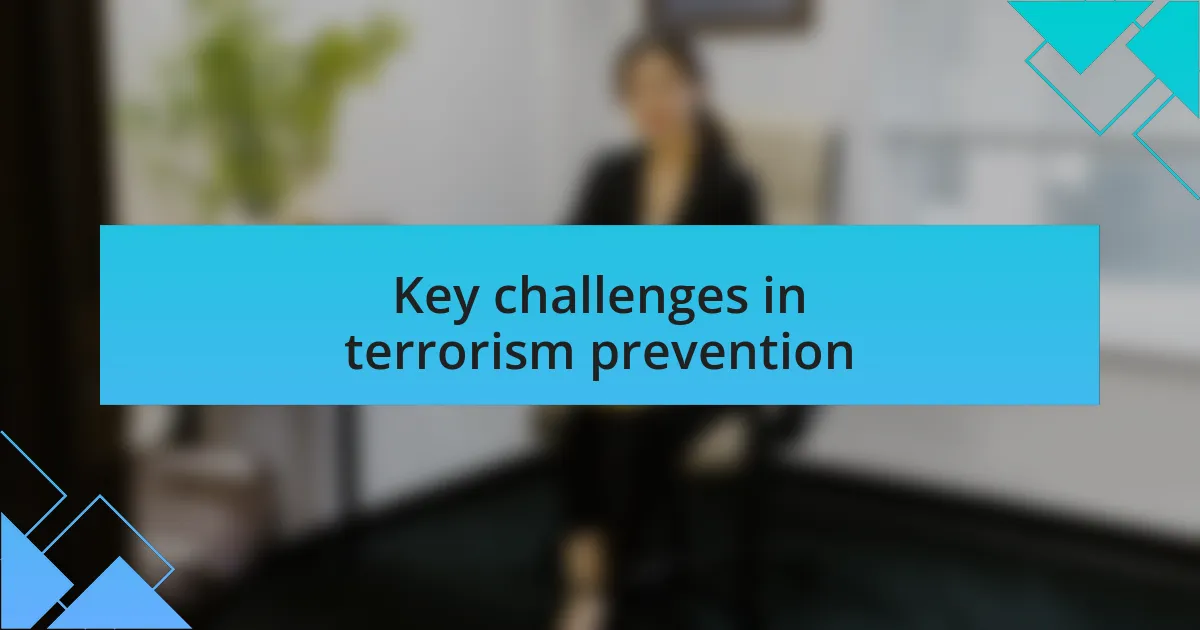 Key challenges in terrorism prevention