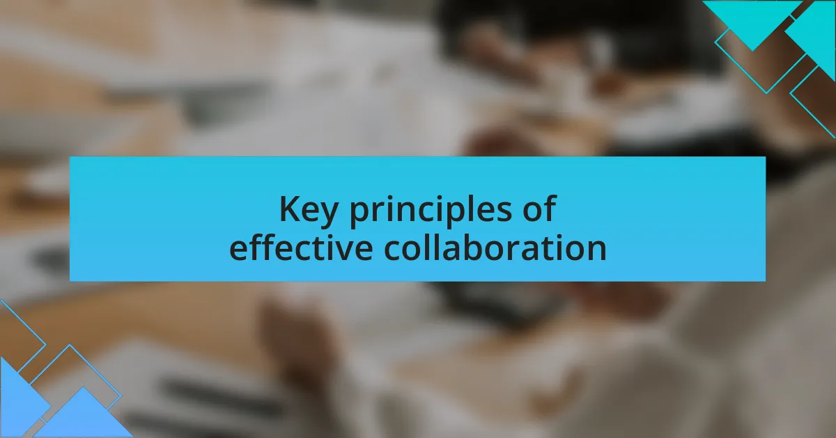 Key principles of effective collaboration