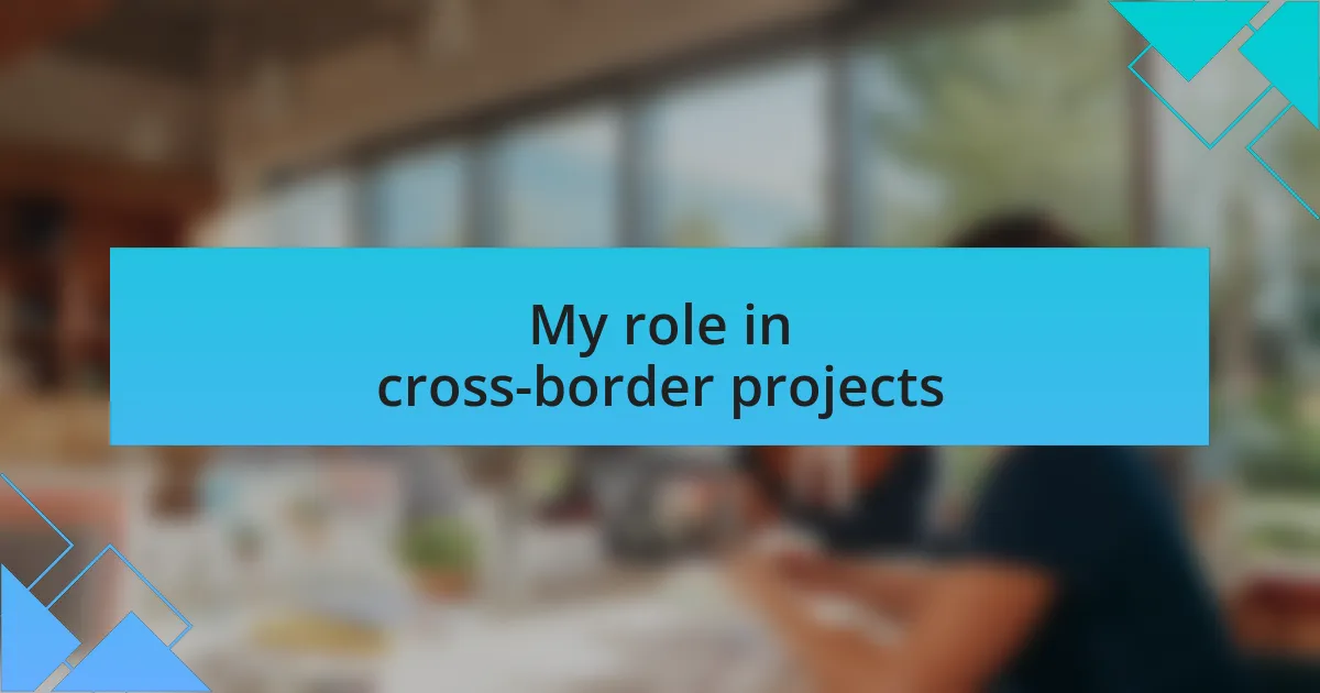My role in cross-border projects