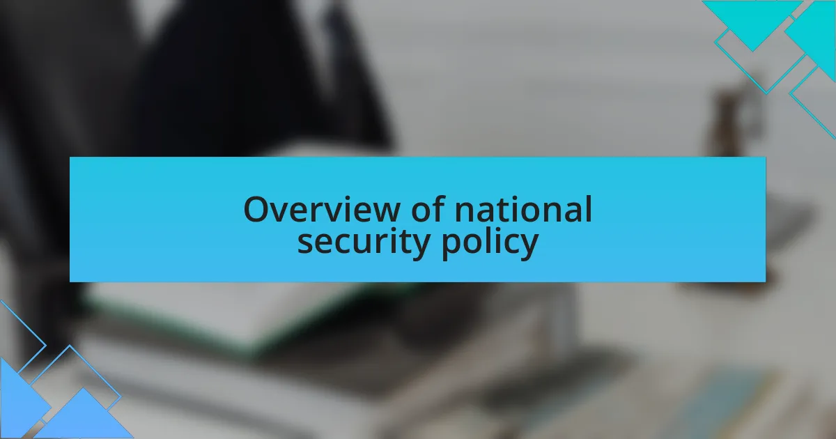 Overview of national security policy