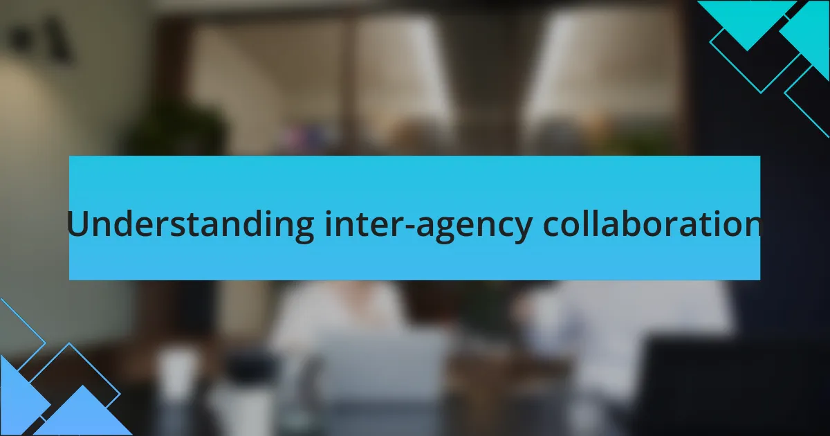 Understanding inter-agency collaboration