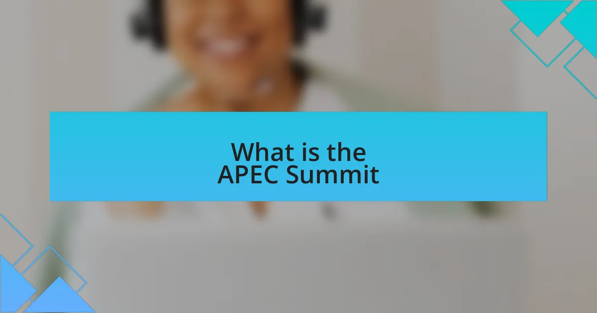 What is the APEC Summit